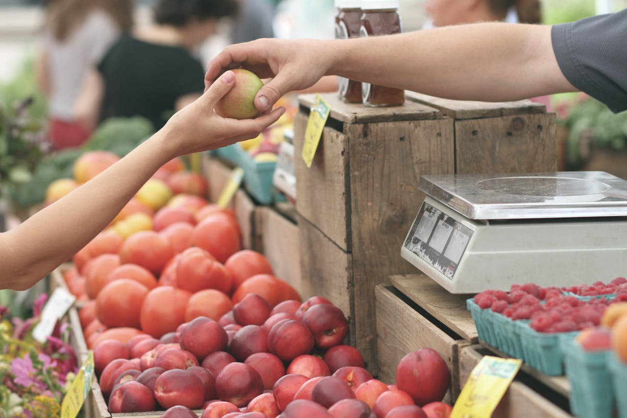 holland-farmers-market-holland mi real estate agent